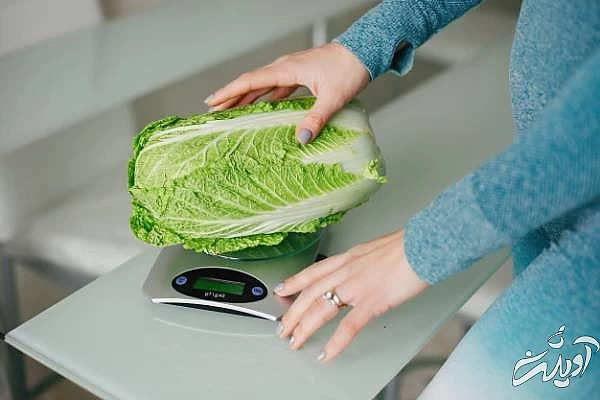 فریز کردن سبزیجات فریز کردن کاهو